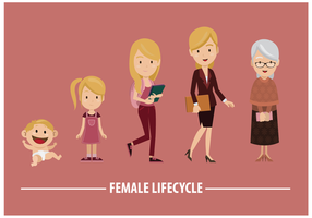 Free Female Lifecycle Vector