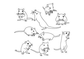 Gerbil Mouse vector