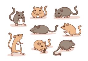 Gerbil Dibujos Animados vector