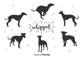 Whippet Vector Silueta