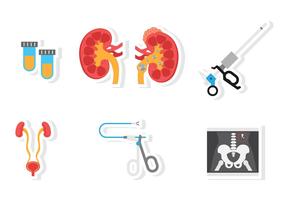 Ícono plano de la urología vector