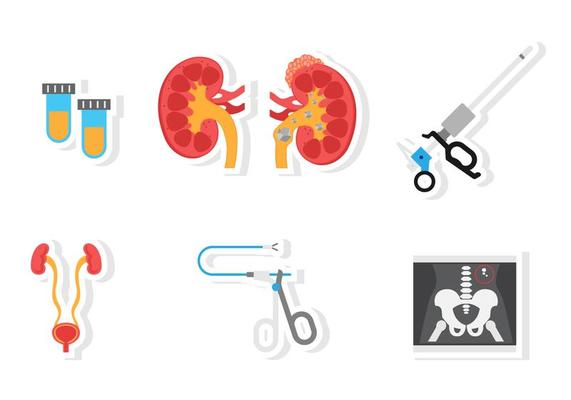 Flat Urology Icon