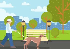 Whippet Dog In The Park vector