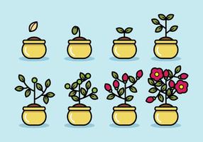Life cycle plant vector