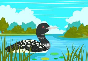 Loon Bird en el lago vector