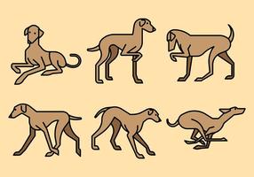 Whippet Vector Iconos