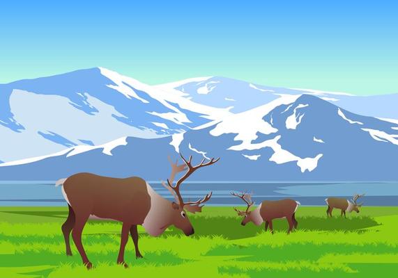 Mountain Landscape With Caribou