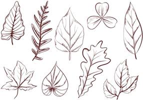 Free Vintage Leaves Vectors