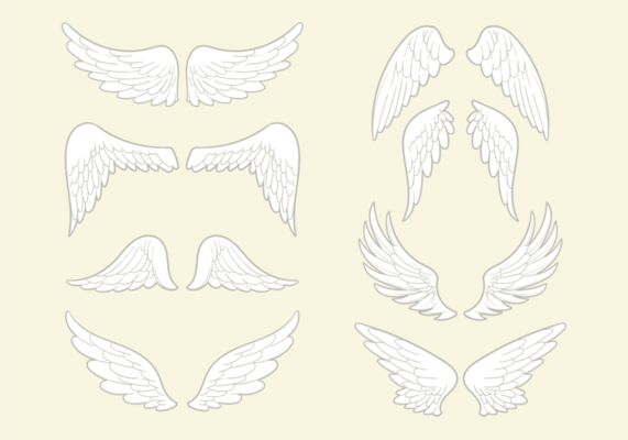 Angel Wings Vector