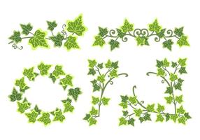 Poison Ivy Leaf Vector Border Illustration