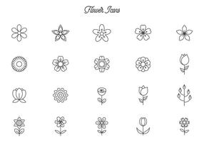 Free Flower Vectors