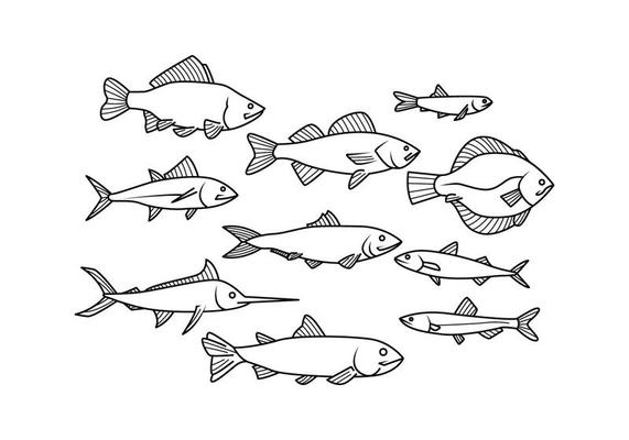 Fish Vector Art, Icons, and Graphics for Free Download