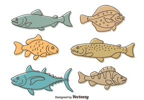 Sketch Fish Collection Vector