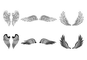 Realistic Angel Wings vector