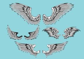 Abstract Vector Illustration Wings Set