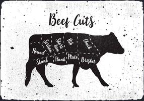 Beef Cuts Vector Background