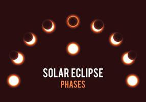 Fases del eclipse solar vector