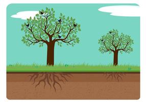 Árbol con las raíces ilustración vectorial
