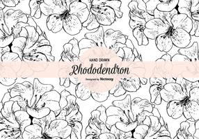 Hand Drawn Rhododendron Vector Seamless Pattern