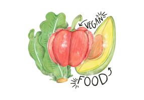 Watercolor Illustration Lettuce, Avocado And Pepper vector