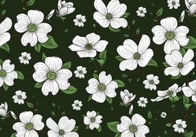 Dogwood Flowers Background Wallpaper vector