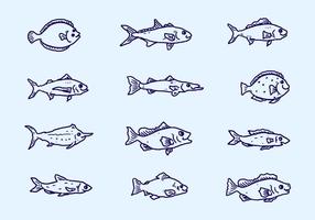 Sketch Fish Collection Vector