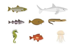 Flat Sea Animal Vectors