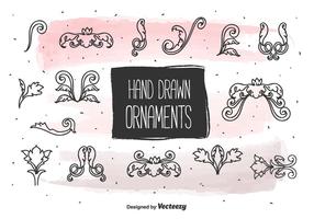 Hand Drawn Vintage Ornaments  vector