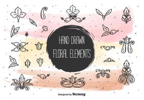 Hand Drawn Floral Elements vector