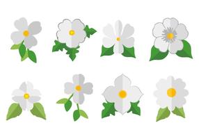 Libro Blanco Icono Dogwood Vector