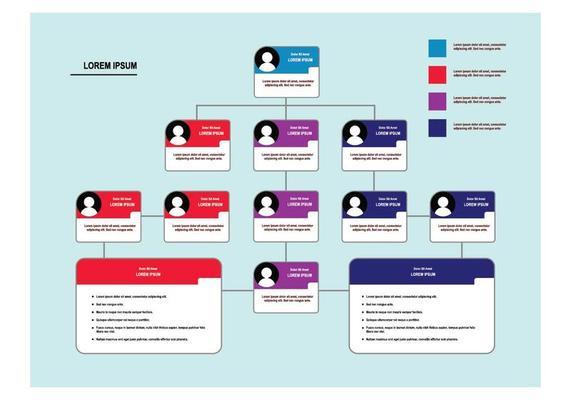 Free Organization Chart Vector