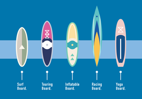 Paddle Board Type Vector