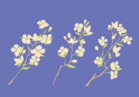 Conjunto de flores de Dogwood sobre fondo azul vector