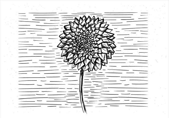 Free Hand Drawn Vector Flower