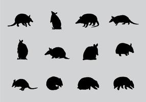 Armadillo Sillhaouttes vector