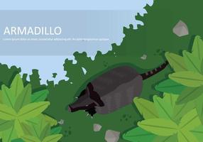 Free Armadillo From Top View Illustration vector