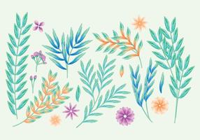 Vector Decorative Branches