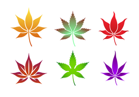 Japanese Maple Vector