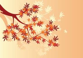 Smooth Japanese Maple Plant and Fall Maple Leaves Background vector