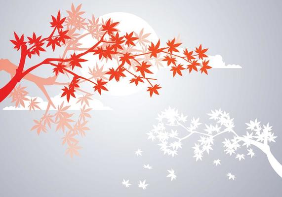 Smooth Japanese Maple Plant and Fall Maple Leaves Background