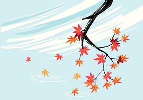 Smooth Japanese Maple Plant with Sky Background and Fall Maple Leaves vector