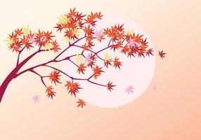 Smooth Japanese Maple Plant with Sun Background and Fall Maple Leaves vector