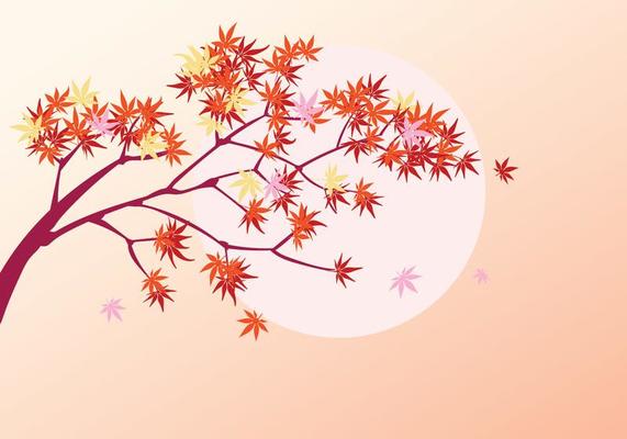 Smooth Japanese Maple Plant with Sun Background and Fall Maple Leaves