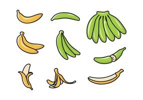 Plantain Element Vector