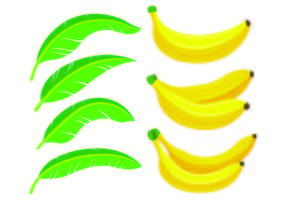 Set Of Plantain Icons vector