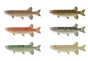 Set Of Muskie Fish Vector 