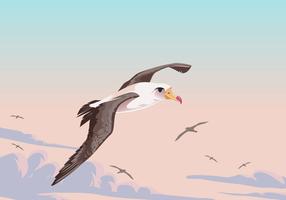Flying Albatross pájaro vector
