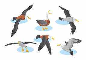 Conjunto de vectores de albatros