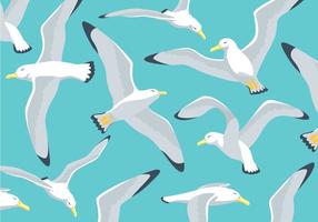 Albatross Illustration Background vector