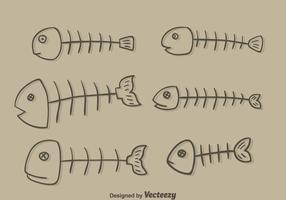 Sketch Fishbone Collection Vector